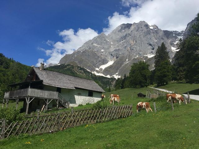 Lettengut