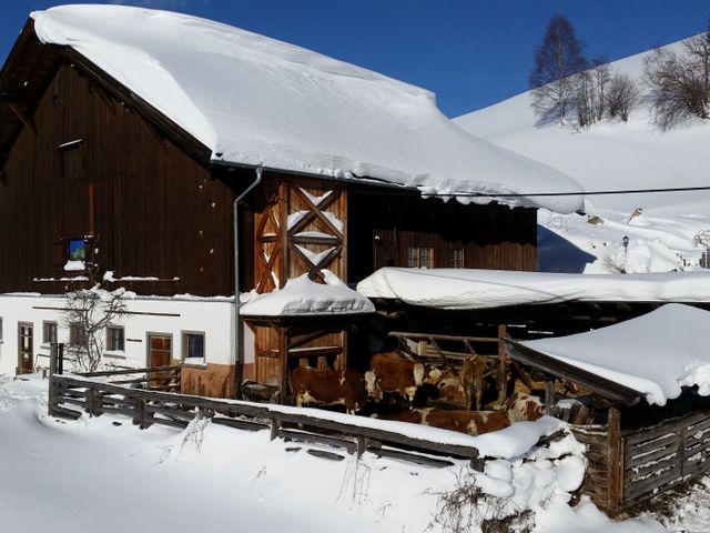 Widholzhof