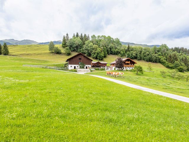 Widholzhof